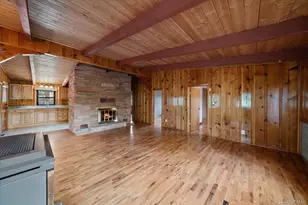 168 Juniper Ln, Bailey, CO 80421 - Photo 3