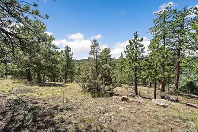 168 Juniper Lane, Bailey, CO 80421 - Photo 27