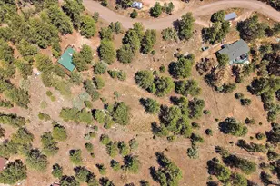168 Juniper Ln, Bailey, CO 80421 - Photo 29