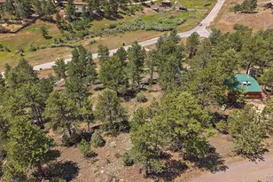 168 Juniper Ln, Bailey, CO 80421 - Photo 31