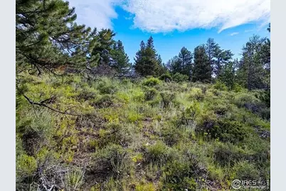 1445 Ridge Road, Nederland, CO 80466 - Photo 9