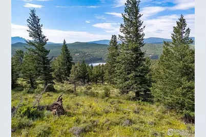 1445 Ridge Road, Nederland, CO 80466 - Photo 11