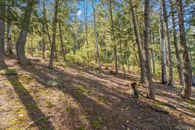 27882 Bonanza Drive, Evergreen, CO 80439 - Photo 43