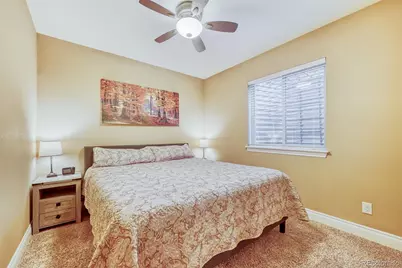 4237 Manorbrier Court, Castle Rock, CO 80104 - Photo 15