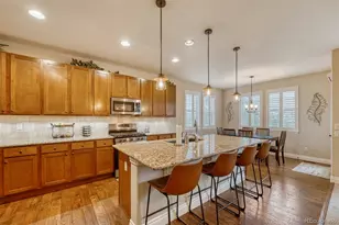 4237 Manorbrier Ct, Castle Rock, CO 80104 - Photo 9