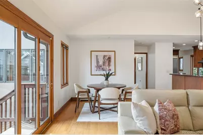 350 N Marion Street, Denver, CO 80218 - Photo 9