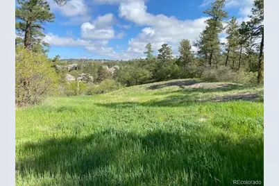 488 Wrangler Road, Castle Rock, CO 80108 - Photo 17