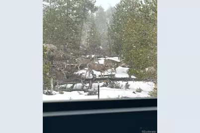 150 Gcr 442 #1C, Grand Lake, CO 80447 - Photo 7