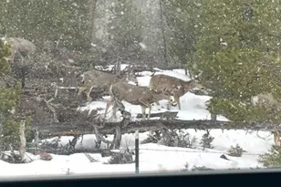 150 Gcr 442, Grand Lake, CO 80447 - Photo 7