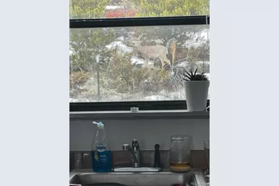 150 Gcr 442 #1C, Grand Lake, CO 80447 - Photo 19