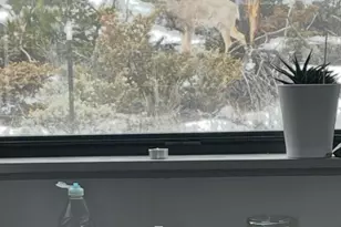 150 Gcr 442, Grand Lake, CO 80447 - Photo 19