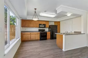4079 Orleans St, Denver, CO 80249 - Photo 9