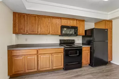 4079 Orleans Street, Denver, CO 80249 - Photo 7