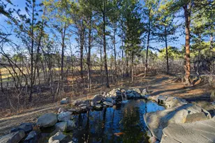 1277 Forest Trails Dr, Castle Pines, CO 80108 - Photo 45