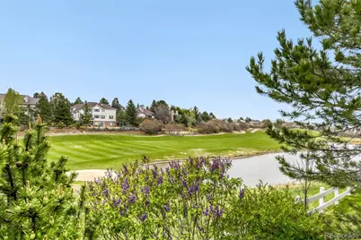 727 Deer Clover Way, Castle Pines, CO 80108 - Photo 29