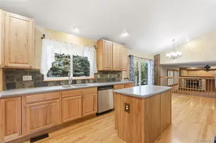 1603 Rosemary Ct, Castle Rock, CO 80109 - Photo 9