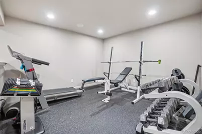 1993 Mountain Maple Avenue, Highlands Ranch, CO 80129 - Photo 31