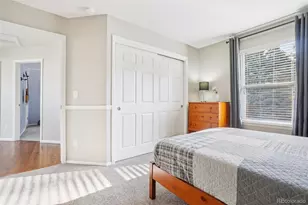 1993 Mountain Maple Ave, Highlands Ranch, CO 80129 - Photo 25