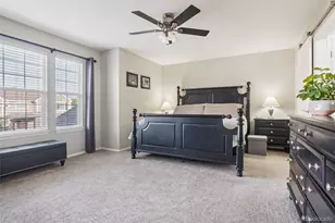 1993 Mountain Maple Ave, Highlands Ranch, CO 80129 - Photo 17