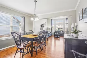 1993 Mountain Maple Ave, Highlands Ranch, CO 80129 - Photo 7