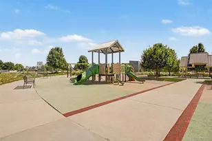 652 Sundance Dr, Windsor, CO 80550 - Photo 47