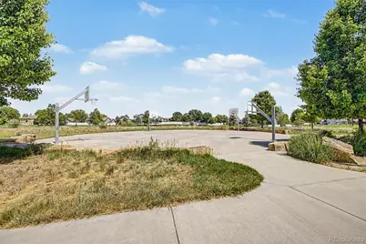 652 Sundance Drive, Windsor, CO 80550 - Photo 49