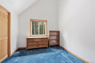 1419 Little Bear Creek Rd, Idaho Springs, CO 80452 - Photo 21