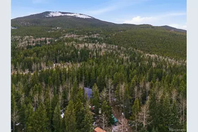 1419 Little Bear Creek Road, Idaho Springs, CO 80452 - Photo 25