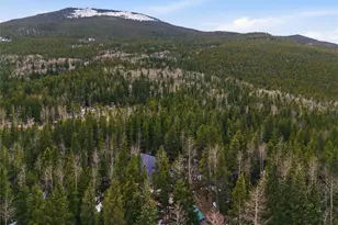 1419 Little Bear Creek Rd, Idaho Springs, CO 80452 - Photo 25