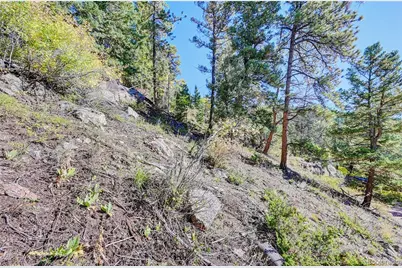 11723 Braun Way, Conifer, CO 80433 - Photo 5