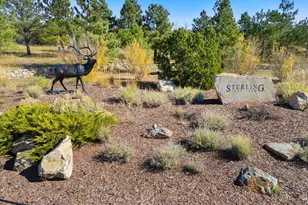 4637 Palmer Ridge Dr, Parker, CO 80134 - Photo 43