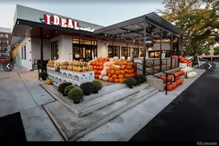 1056 Marion Street, Denver, CO 80218 - Photo 19