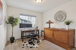 11259 S Cedar Gulch Ln, Parker, CO 80134 - Photo 23