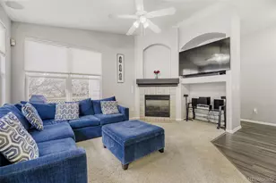 7085 Leopard Gate, Lone Tree, CO 80124 - Photo 9