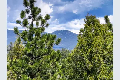 539 S Random Road, Bailey, CO 80421 - Photo 37