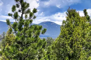 539 S Random Rd, Bailey, CO 80421 - Photo 37