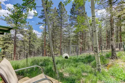 539 S Random Road, Bailey, CO 80421 - Photo 27