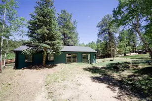 126 Sullivan St, Bailey, CO 80421 - Photo 3