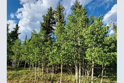 62 Shoshone Drive, Como, CO 80432 - Photo 7