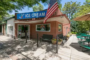 1343 N High Street, Denver, CO 80218 - Photo 35