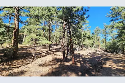 2417 Indian Wells Road, Cotopaxi, CO 81223 - Photo 5