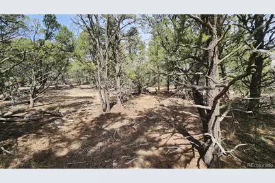 2417 Indian Wells Road, Cotopaxi, CO 81223 - Photo 19
