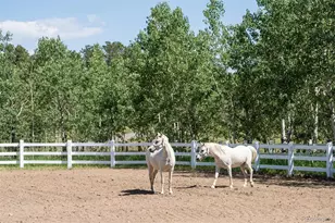 12351 S Ridge Rd, Conifer, CO 80433 - Photo 45