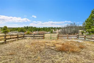 12984 Crowfoot Springs Rd, Larkspur, CO 80118 - Photo 45