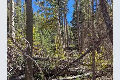 3244 Zipf, Fort Garland, CO 81133 - Photo 5