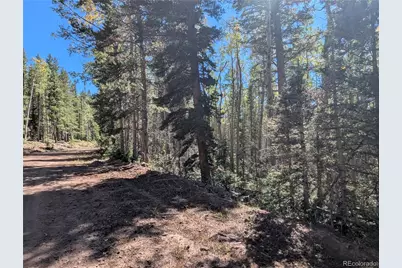 3244 Zipf, Fort Garland, CO 81133 - Photo 3