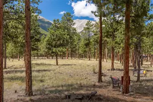 16530 Mt Princeton Rd, Buena Vista, CO 81211 - Photo 15