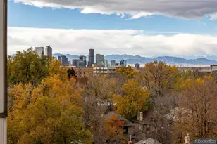 1313 Steele St, Denver, CO 80206 - Photo 27