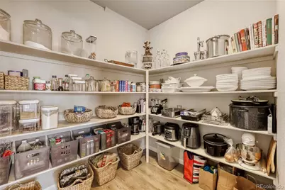 3598 Swabuck Place, Castle Rock, CO 80109 - Photo 9