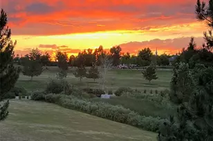 16251 Rock Crystal Dr, Parker, CO 80134 - Photo 49